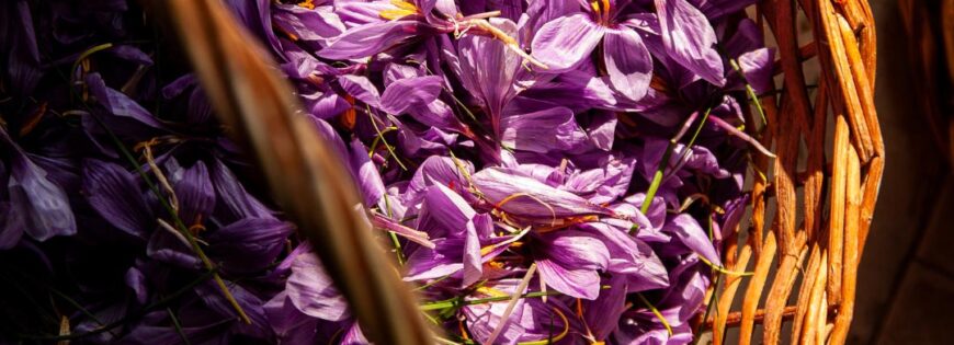 buy kashmir saffron online