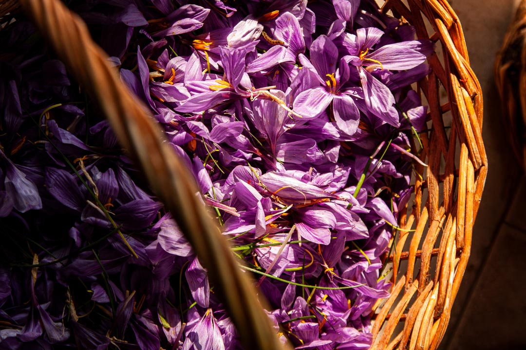 buy kashmir saffron online