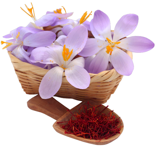 buy kashmir saffron online