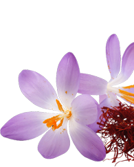 buy kashmir saffron online