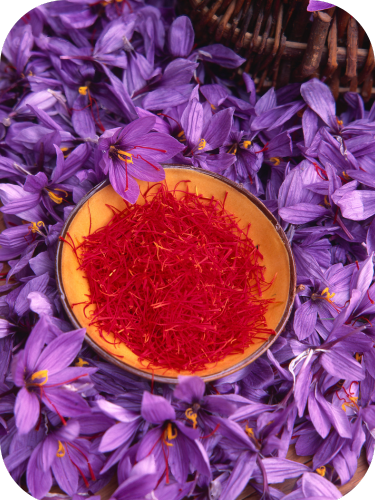 buy kashmir saffron online